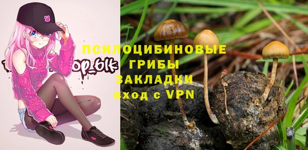 спиды Абинск