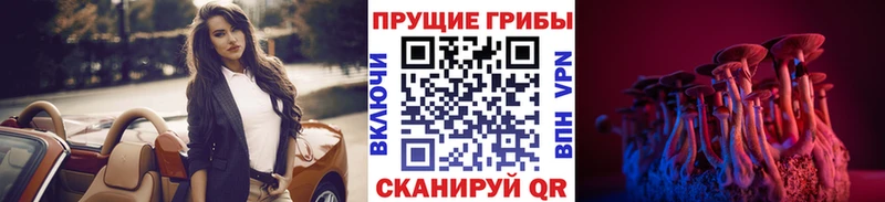 Галлюциногенные грибы Magic Shrooms  blacksprut ССЫЛКА  Ростов-на-Дону 