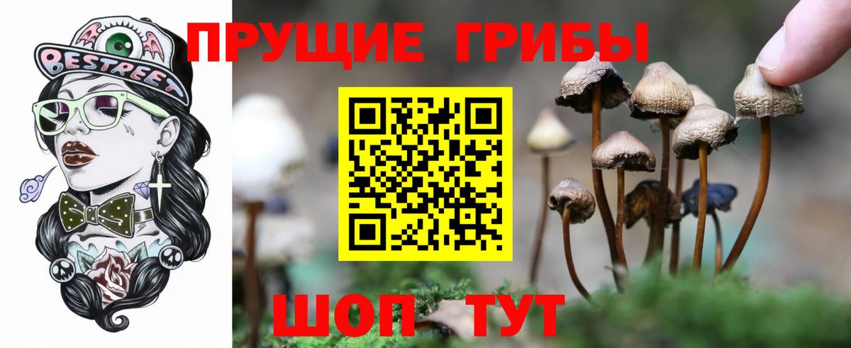 Псилоцибиновые грибы ЛСД  Вход с VPN  Ростов-на-Дону 